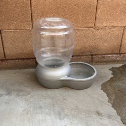Dog Water Bowl 