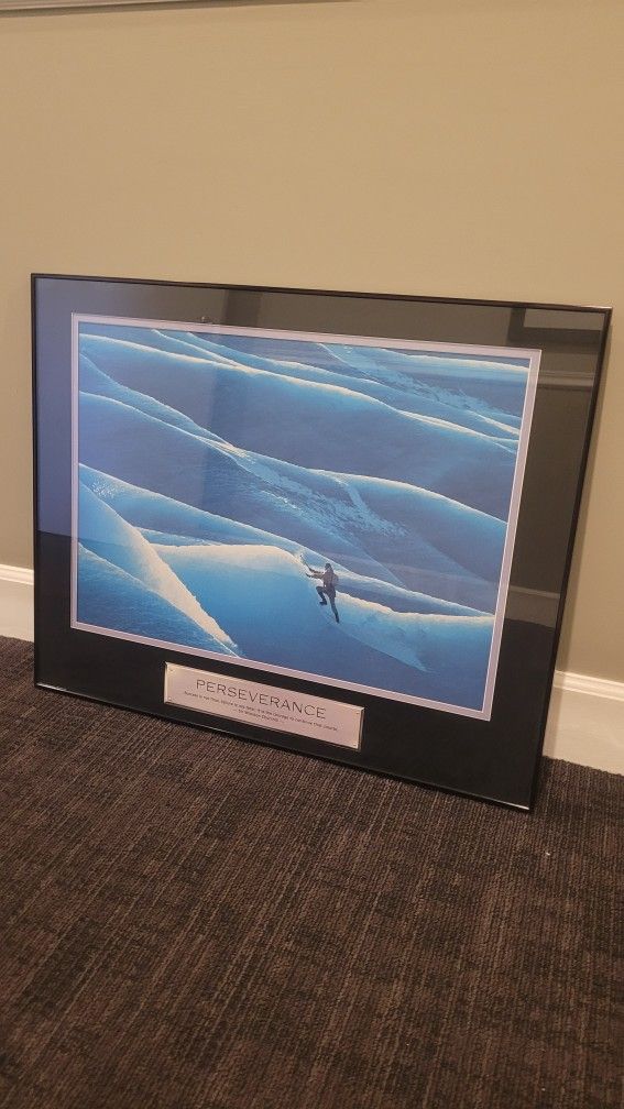 Professionally Framed Art Glass Metal Wall Office Print Picture Photo 8