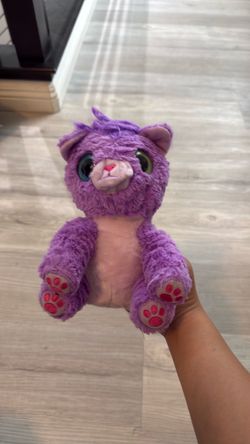 Purple cat