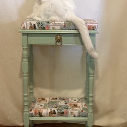 CUSTOM CAT SEATS AND BEDS