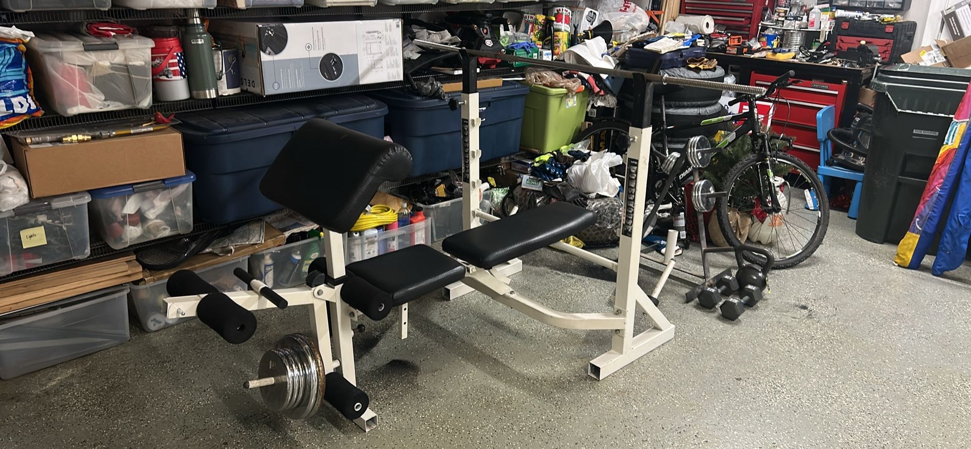 Weight Bench with Bar+Weights