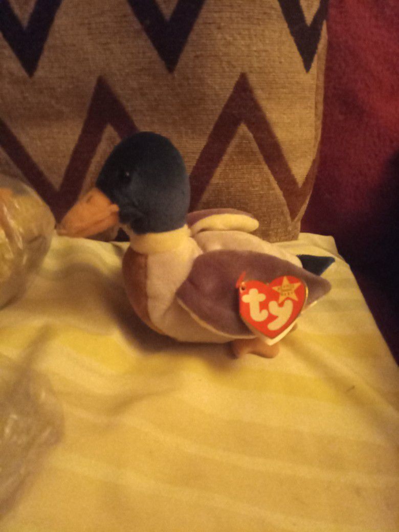 Beanie Baby Jake The Duck Rare Don't Forget To Talk