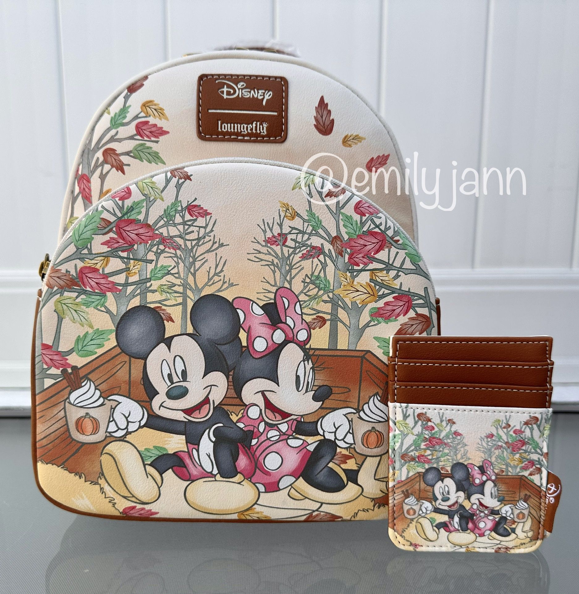 Mickey and Minnie Mouse Backpack Set 