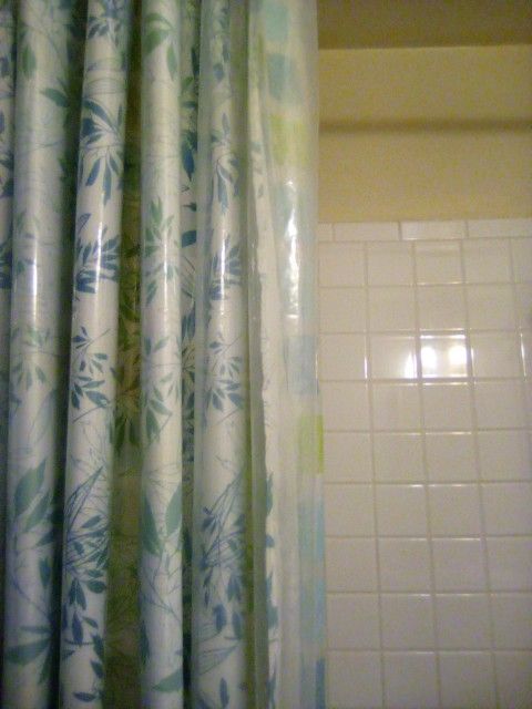 Shower Curtain (White)