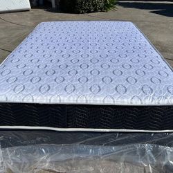 Full Orthopedic Deluxe Collection!!