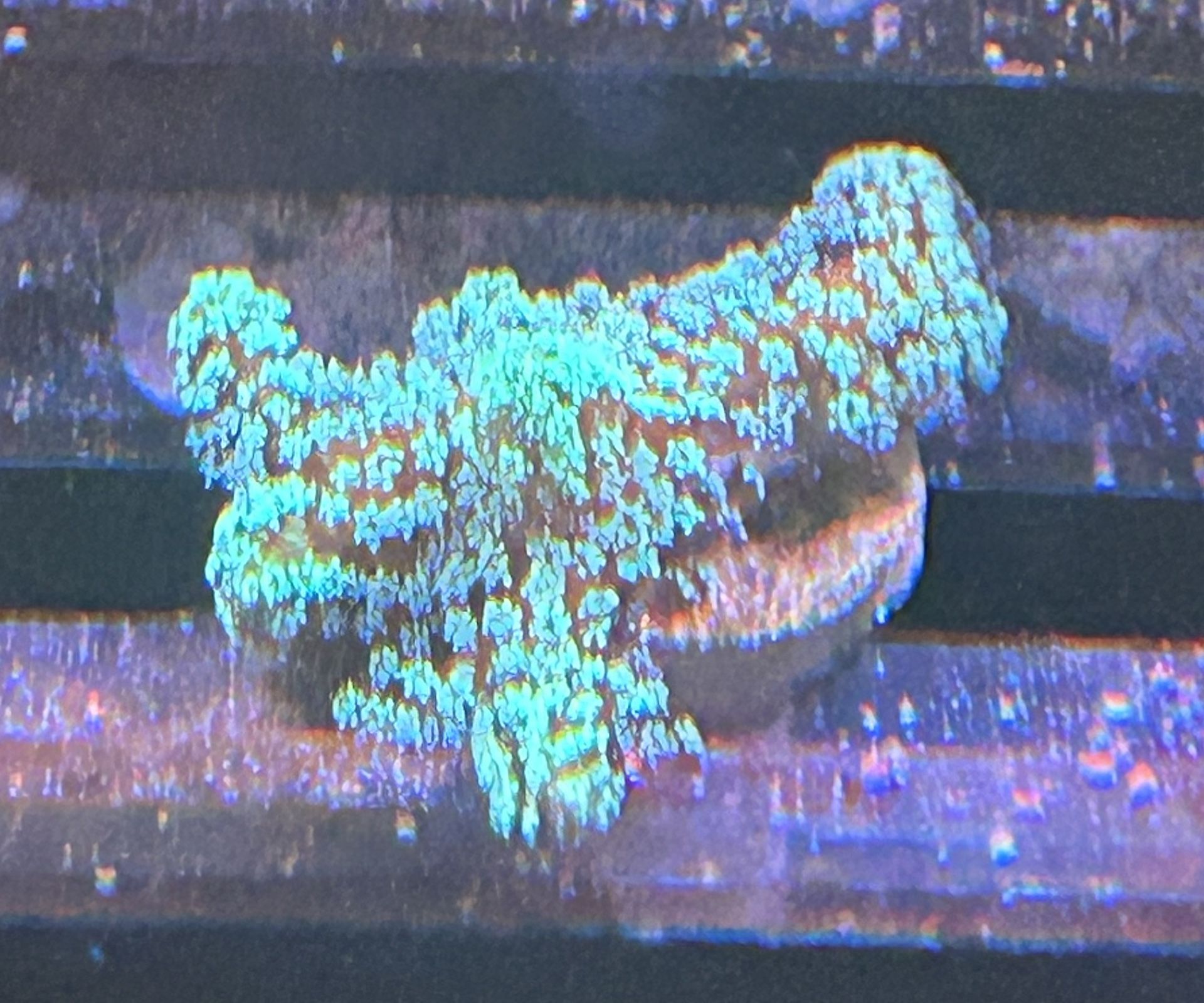 Fake Birdsnest Decor Coral