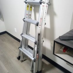 Franklin 17multi-task Ladder 