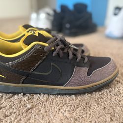 Nike Sb