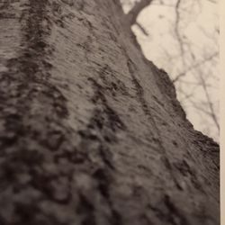 PHOTOGRAPHY ART 🖼️ 2007