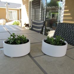 Pair Of White Round Garden Pots With Succulents