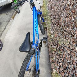 24 Inch Specialized 