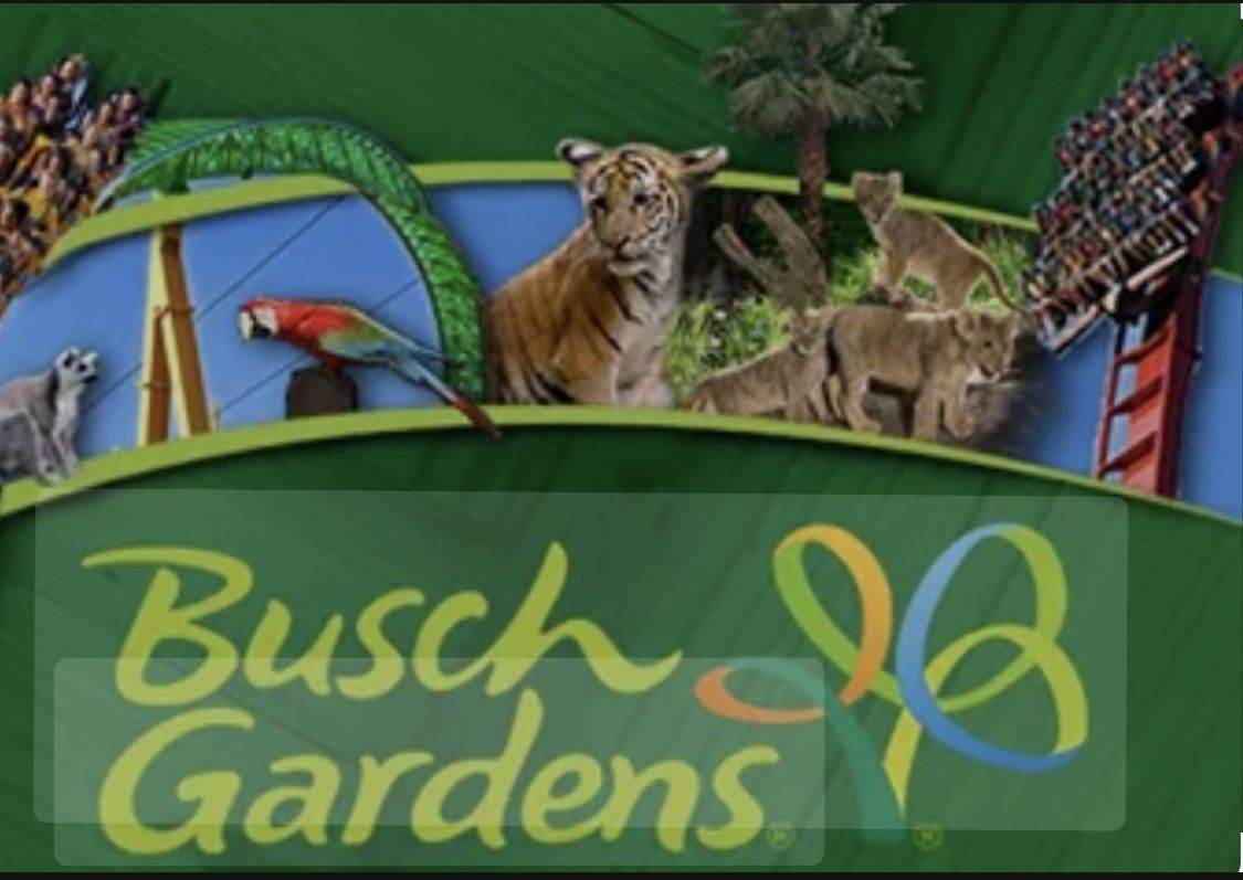 BUSCH GARDENS TICKETS (4)