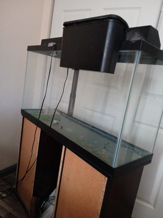 Brown Fish Tank