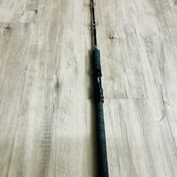 Kite Fishing Rod $50
