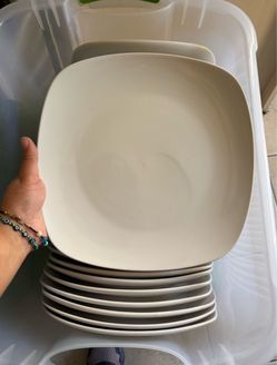 Dinner Plates