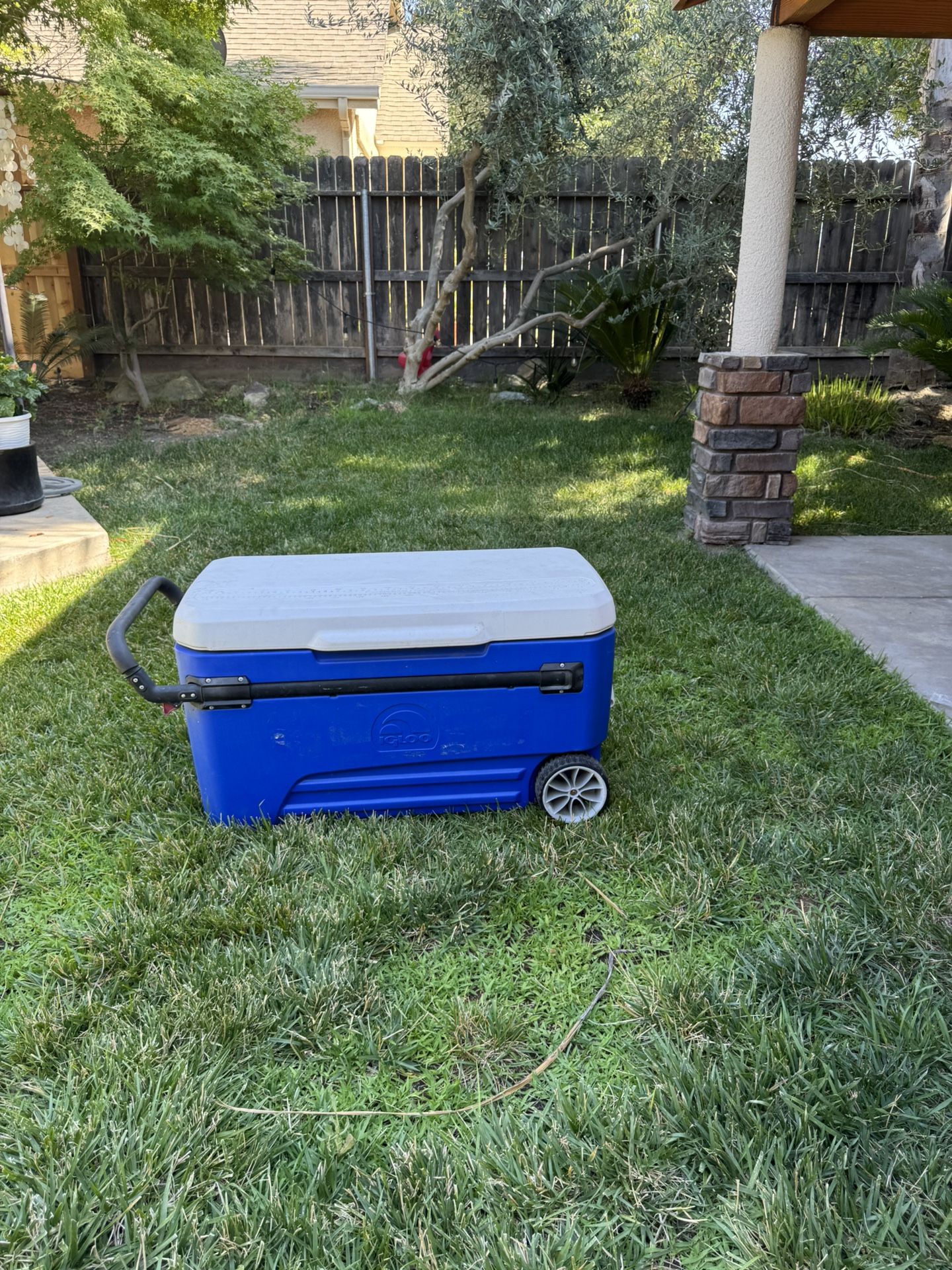 Cooler With Wheels
