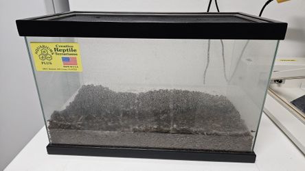 Reptile Terarium