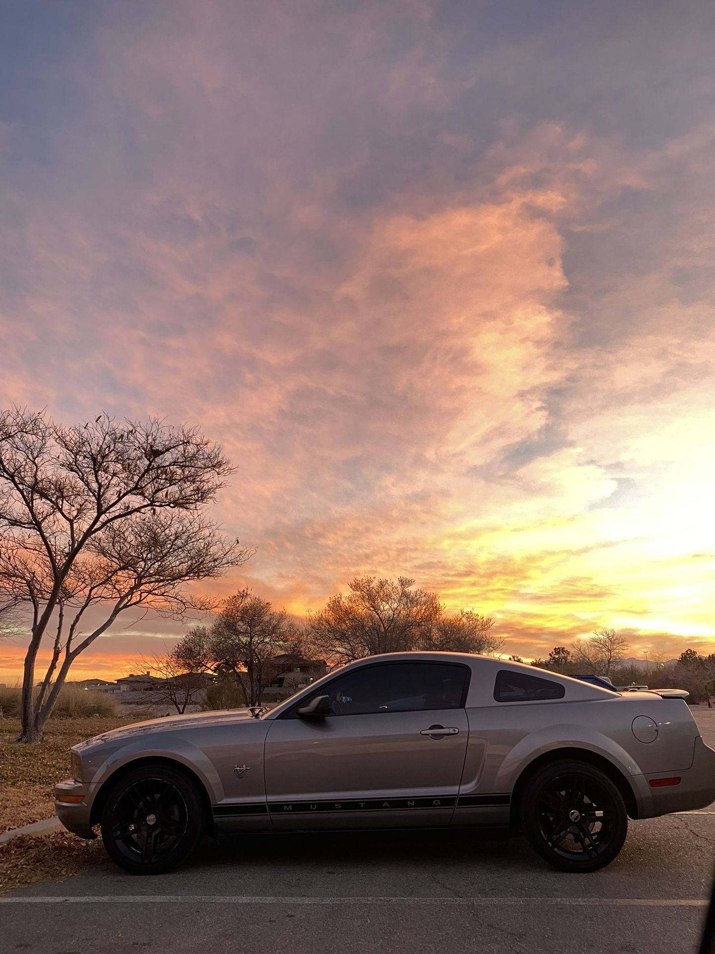 2009 Ford Mustang