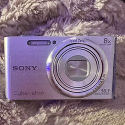 Sony cyber shot Carl Zeiss - Battery Needs To Be Charged