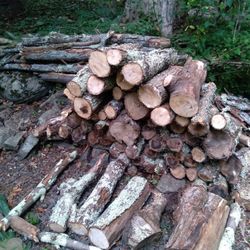 SEASONED FIREWOOD LOWEST PRICES AROUND