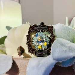 Disneyland Splash Mountain Retired Double Sided Trading Pin