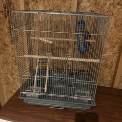Bird Cage 
