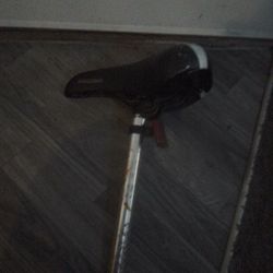 Bike Chair Schwinn