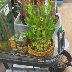 Three Tier Bamboo