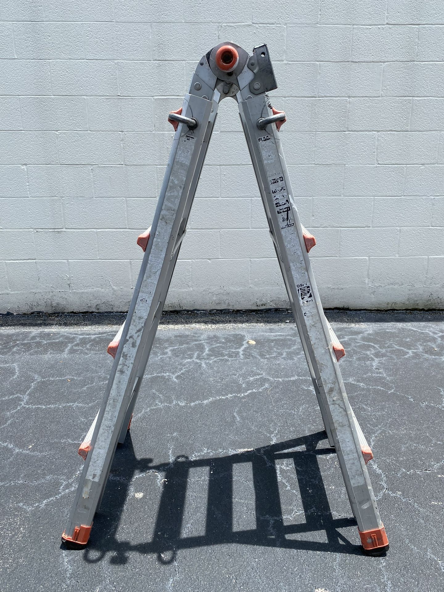 Multi position Ladder