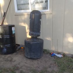 Punching Bag