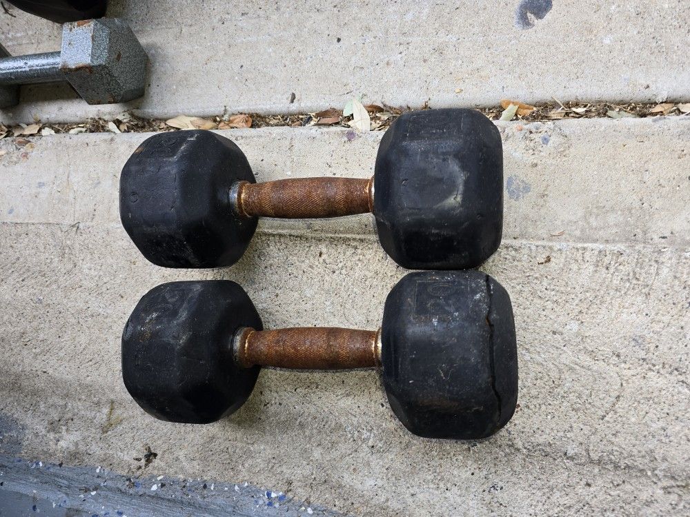 20lbs Dumbbells 