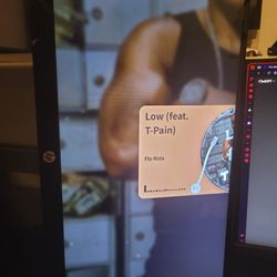 Monitor - HP 25vx