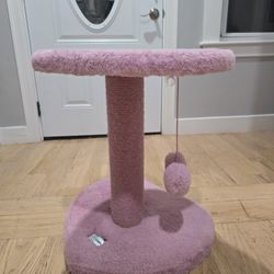 Cat Scratching Post