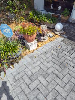 Lots Of Garden Things ..