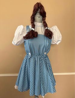 THE WIZZARD OF OZ 👠 DOROTHY 👠 2PC ADULT COSTUME S/M 🌟EUC 🌟