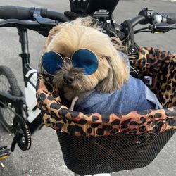 BESV E-Bike (pup Not Included)