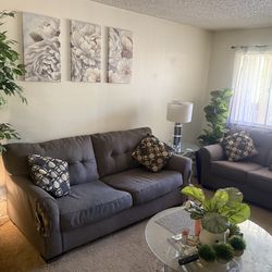 Sofa + Loveseat Set – Needs Repair or Cover – Pickup Only