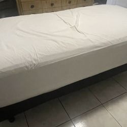 Electric Twin Xl Bed