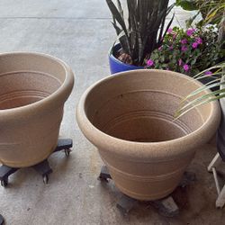 2 Plastic Pots