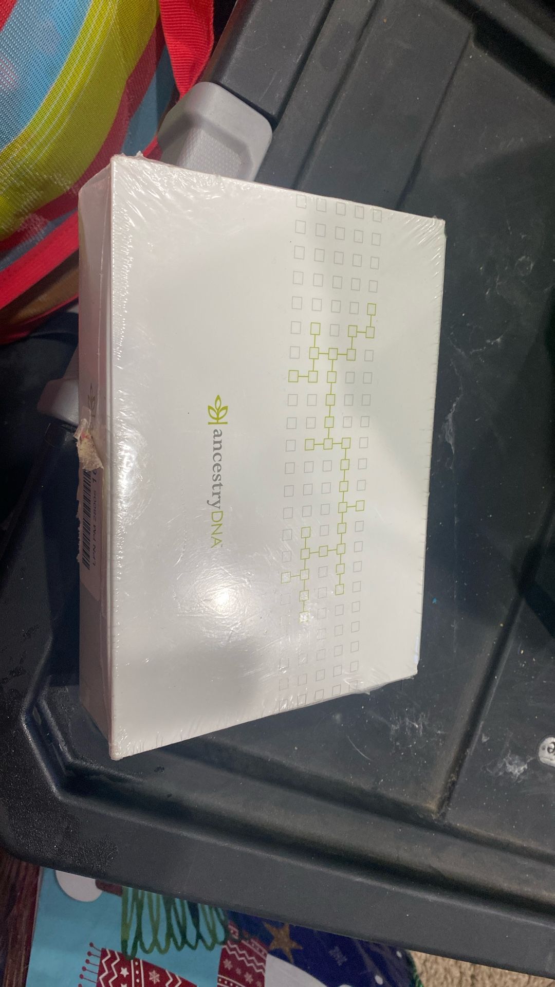 Ancestry DNA kit