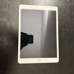 iPad 