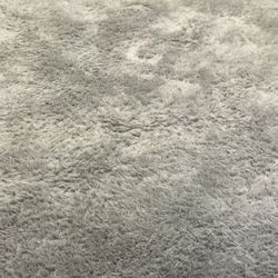 Area Rug 5x8’