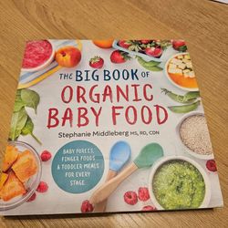 The Big Book of Organic Baby Food
