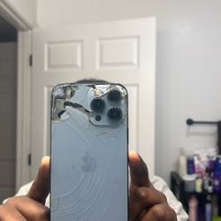 IPhone 13 Pro For 475 Plus A Case With It .