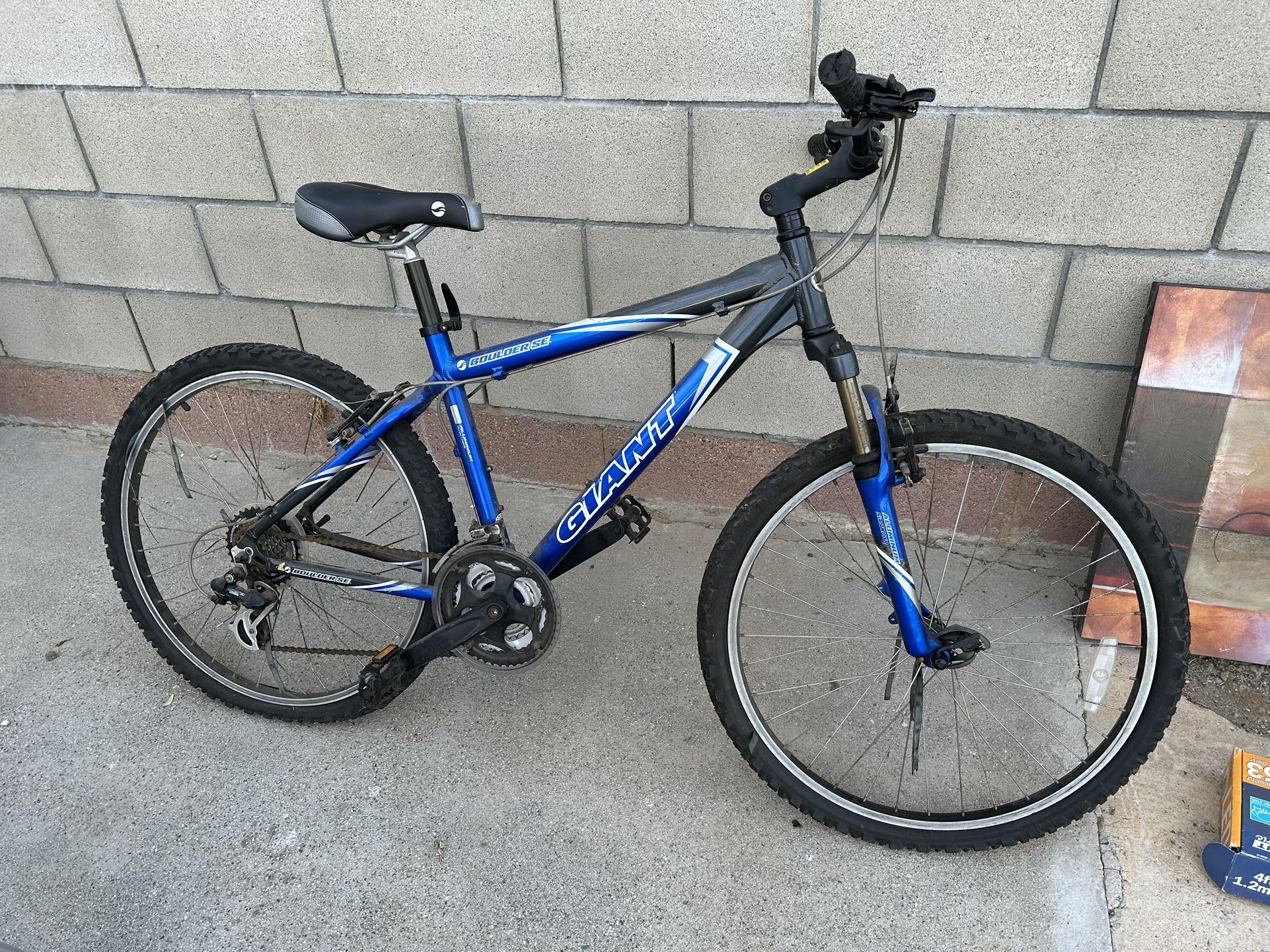 Giant Boulder SE Mountain Bike