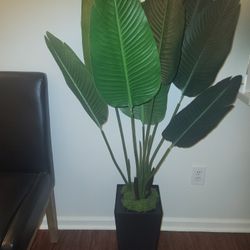 Like New Artificial Plant 4.5ft