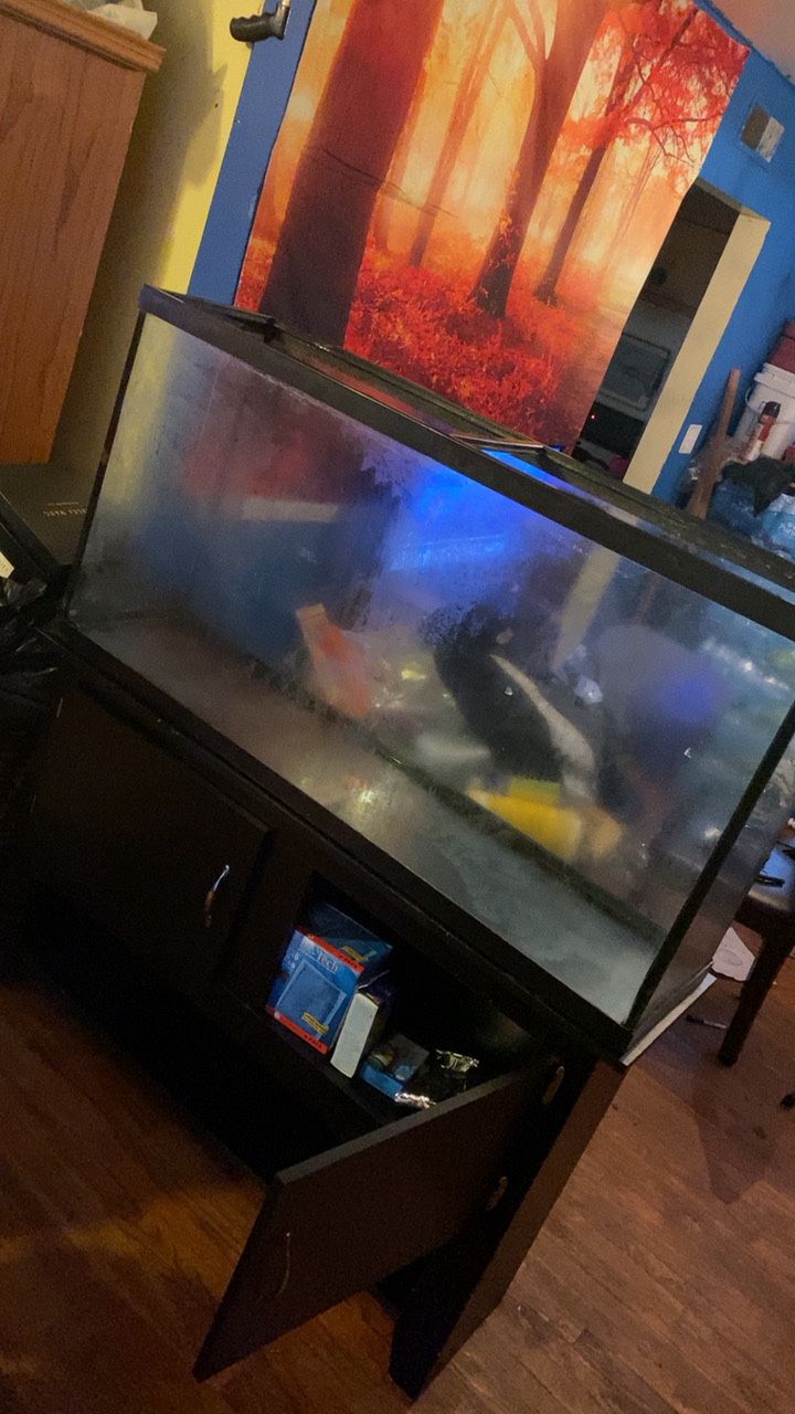 75 gallon fish tank