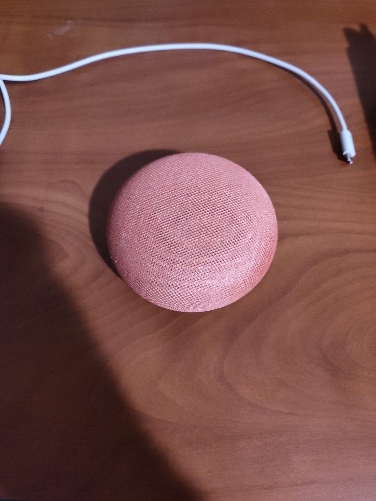 Google Nest 2nd Generation (Alexa)