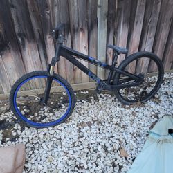 Scott Thompson Odyssey Bike