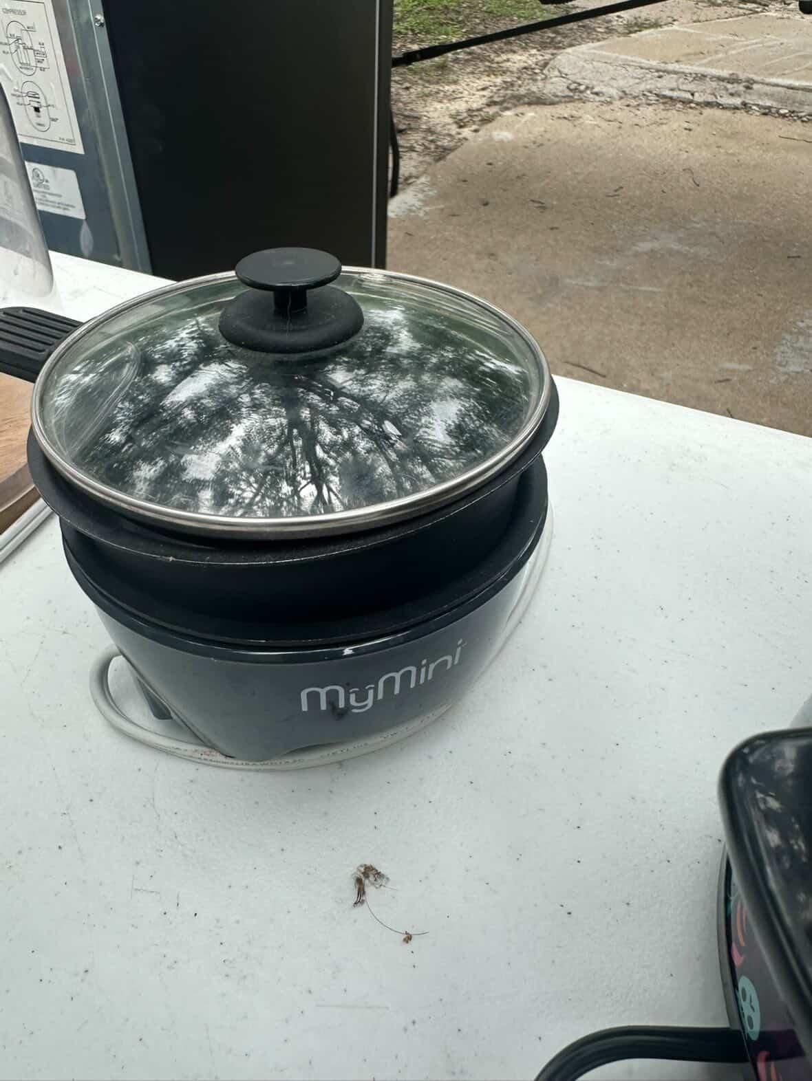 Crockpot
